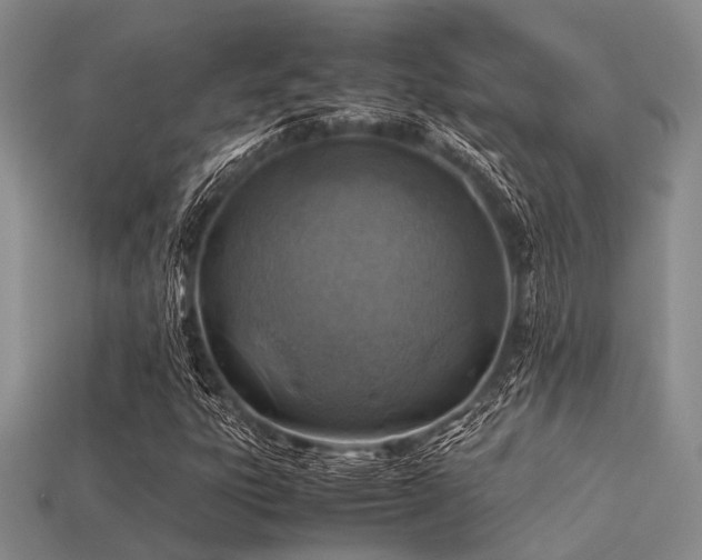 X0000113541303200909181148