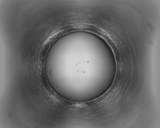 X0000113541304200909181148