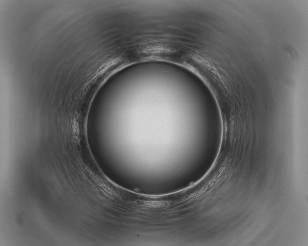 X0000113541305200909181148