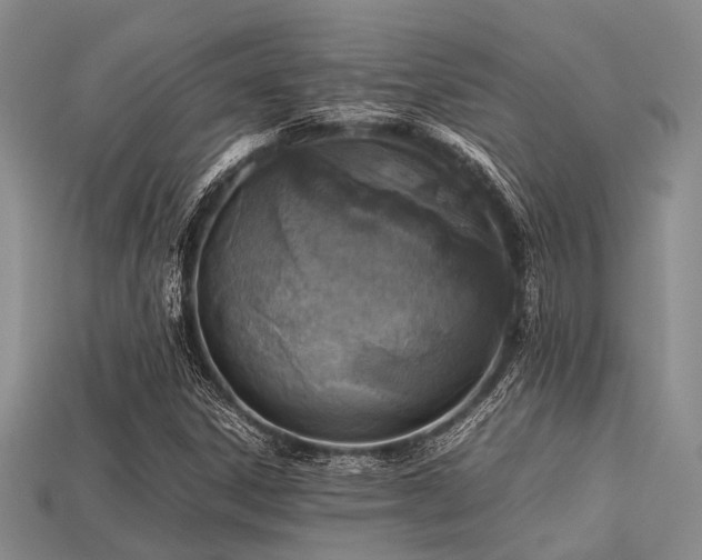 X0000113541306200909181148