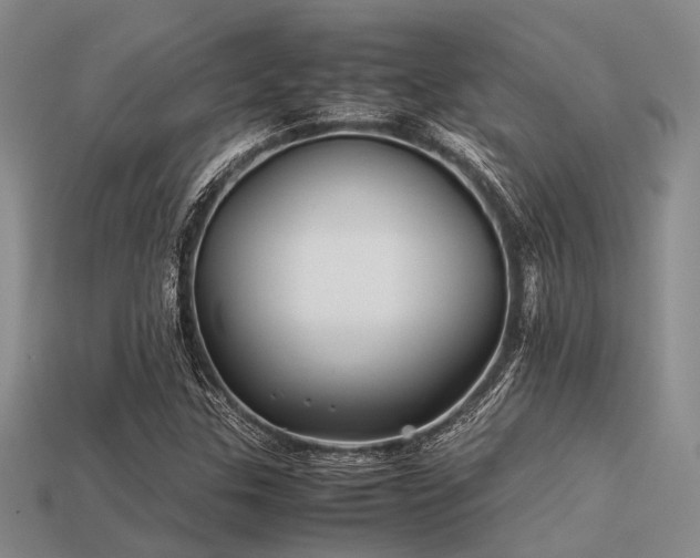 X0000113541307200909181148