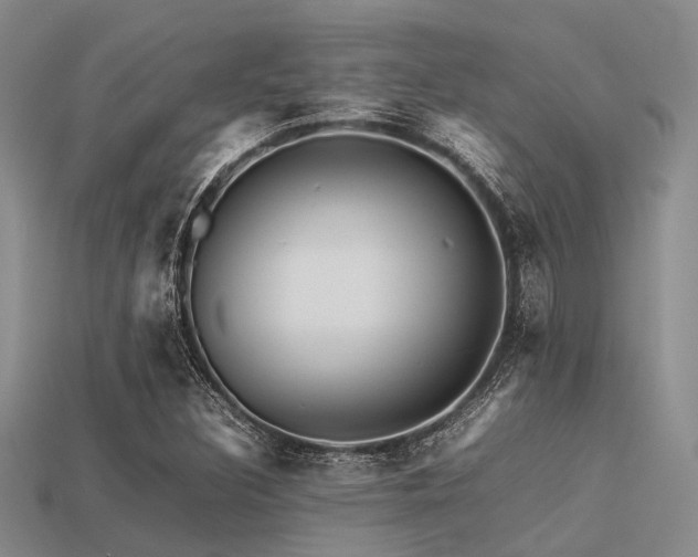 X0000113541308200909181148