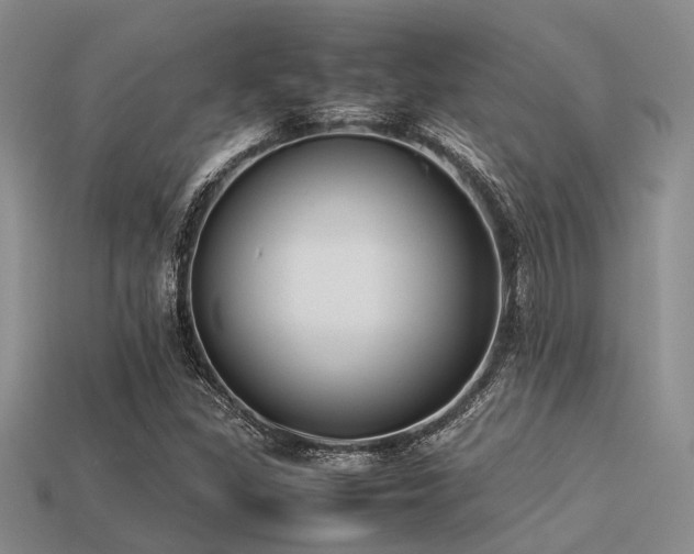 X0000113541309200909181148
