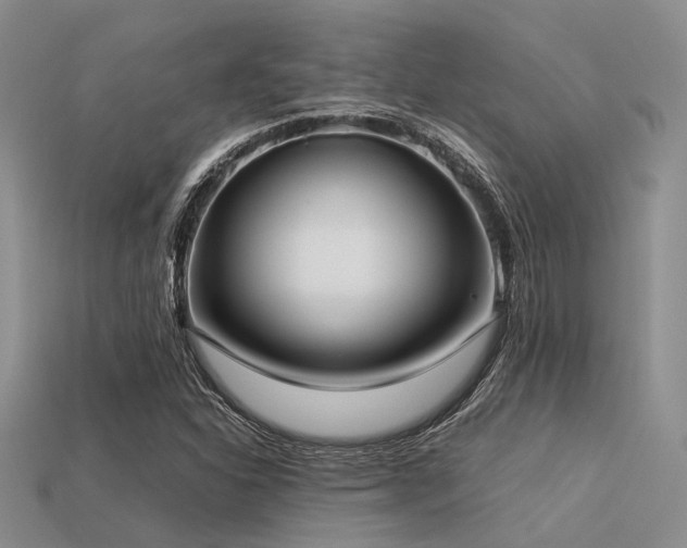 X0000113541310200909181148