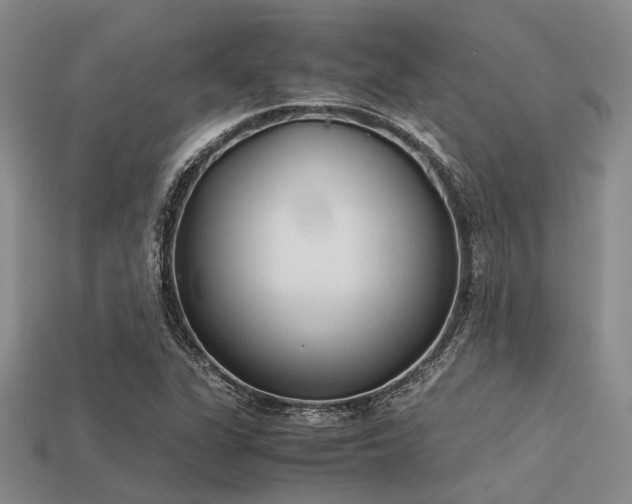 X0000113541311200909181148