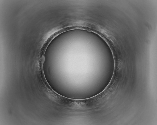 X0000113541312200909181148