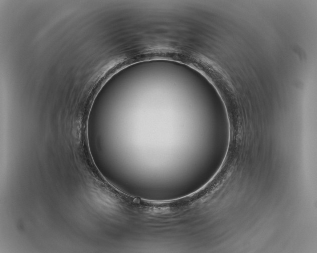 X0000113541313200909181148