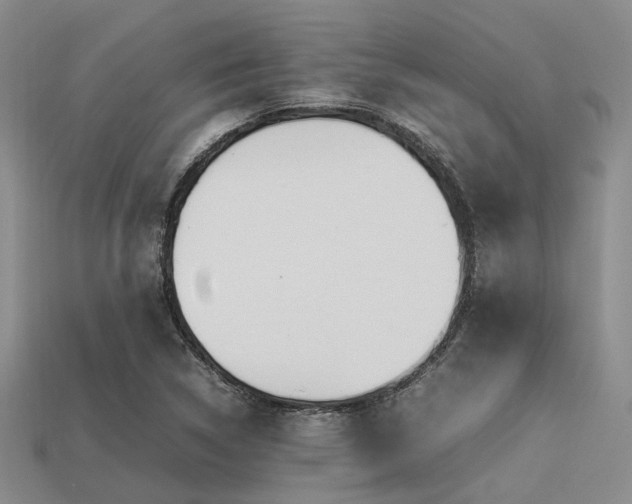 X0000113541314200909181148