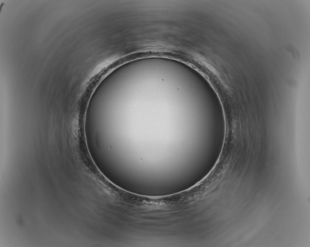 X0000113541315200909181148