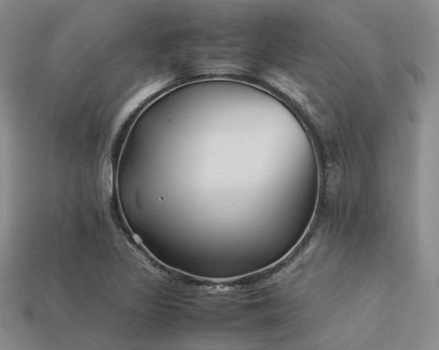 X0000113541317200909181148