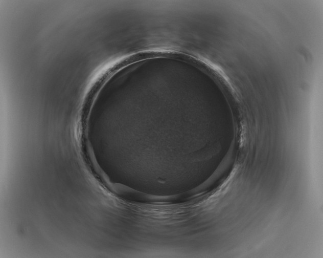 X0000113541319200909181148
