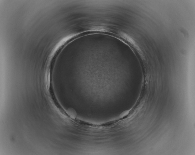 X0000113541323200909181148
