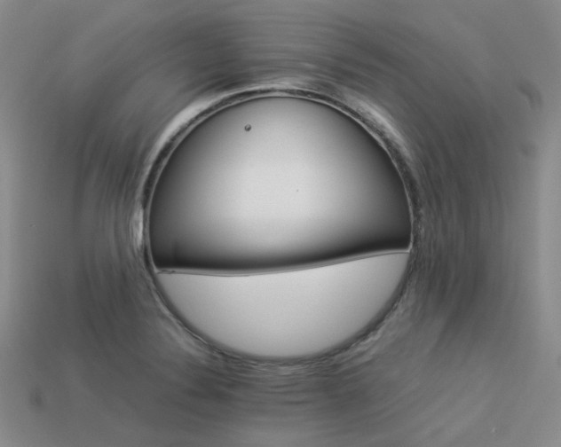 X0000113541324200909181148