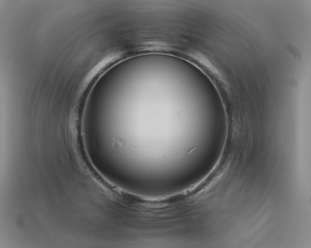 X0000113541325200909181148