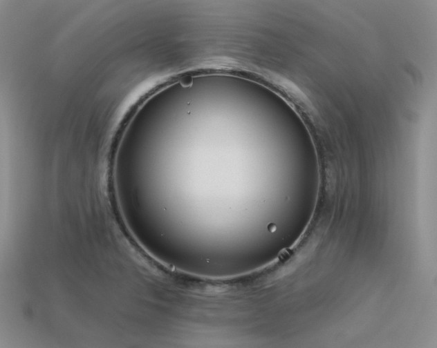 X0000113541326200909181148