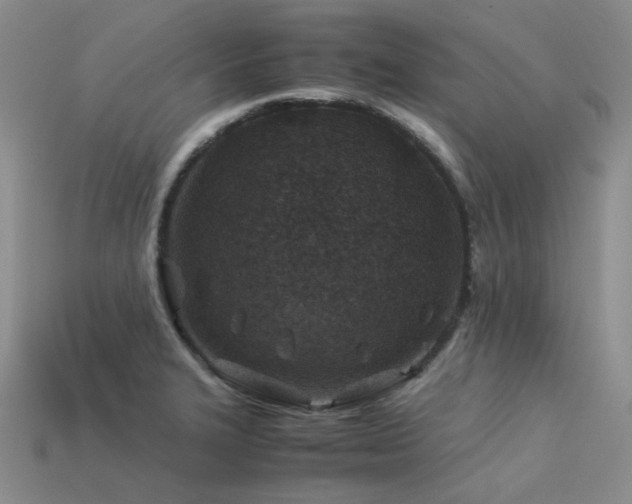 X0000113541327200909181148