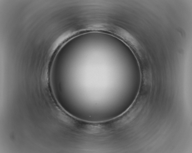 X0000113541328200909181148