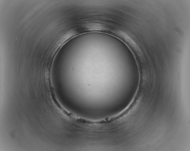 X0000113541329200909181148