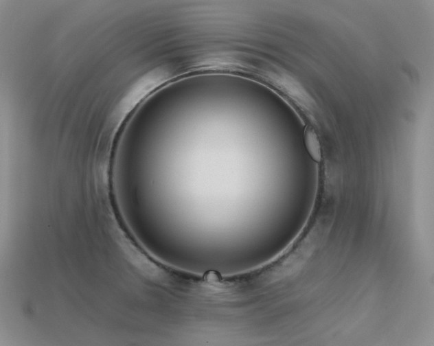 X0000113541330200909181148