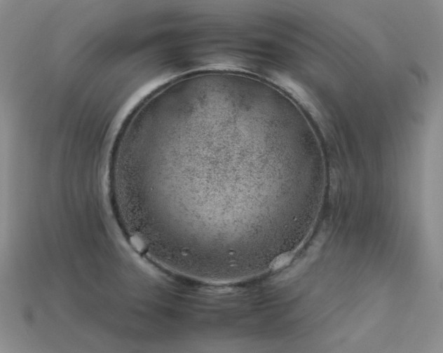 X0000113541331200909181148