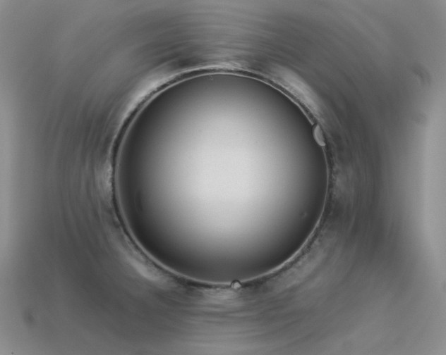 X0000113541332200909181148