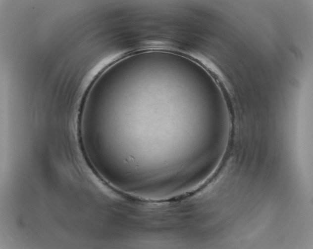 X0000113541333200909181148