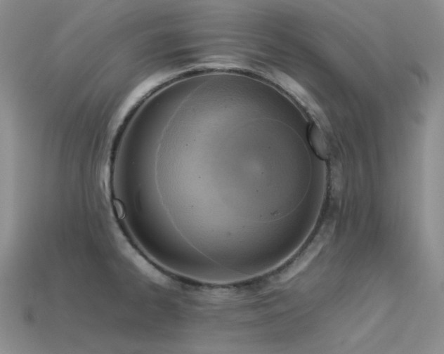 X0000113541334200909181148