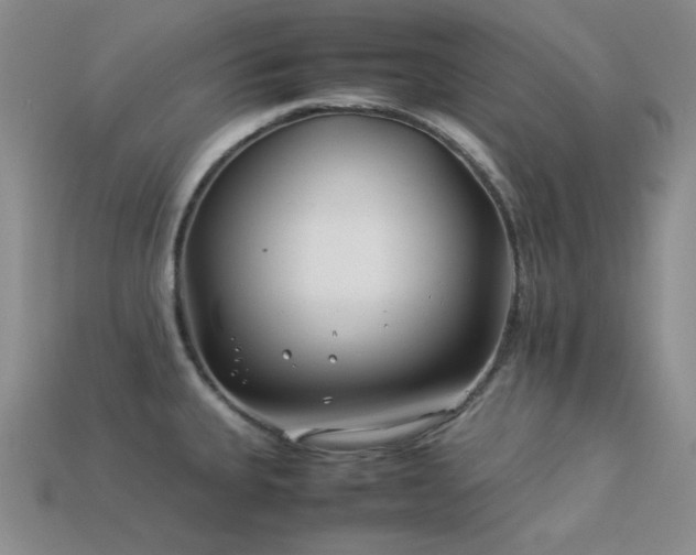 X0000113541335200909181148