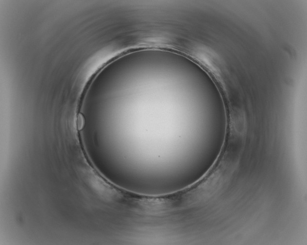 X0000113541336200909181148