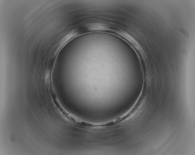 X0000113541337200909181148
