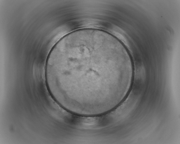 X0000113541338200909181148