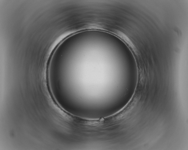 X0000113541339200909181148