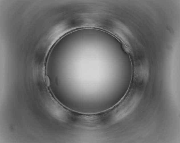 X0000113541340200909181148
