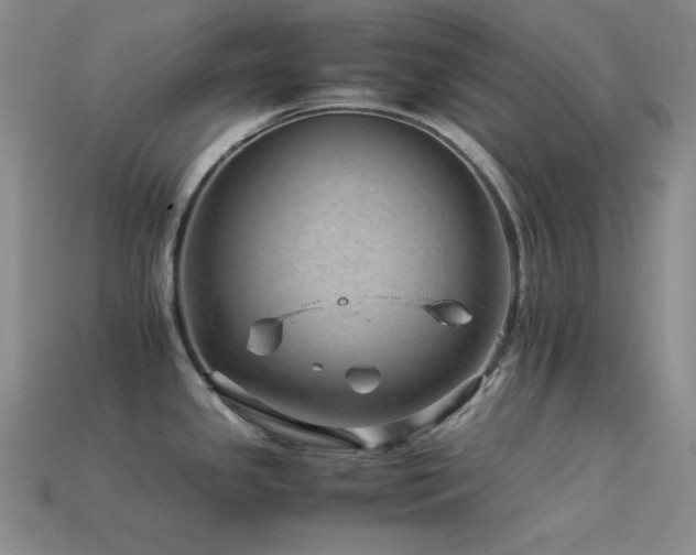 X0000113541341200909181148