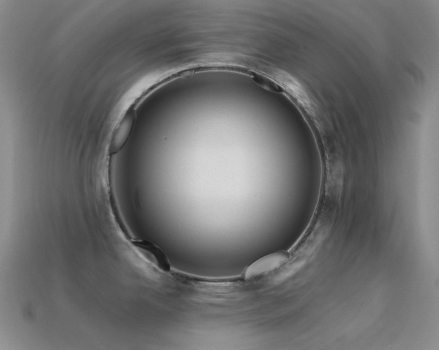 X0000113541342200909181148