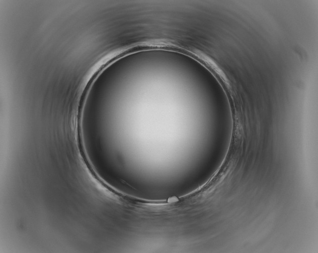 X0000113541343200909181148