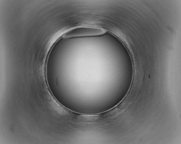 X0000113541344200909181148