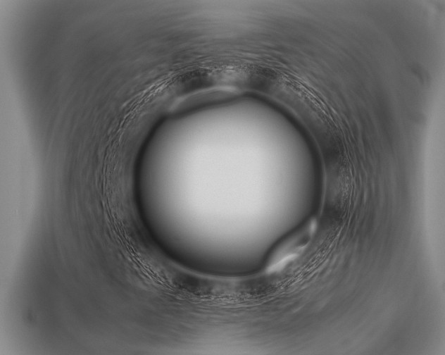 X0000113541345200909181148