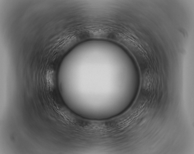 X0000113541346200909181148