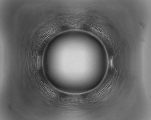 X0000113541347200909181148