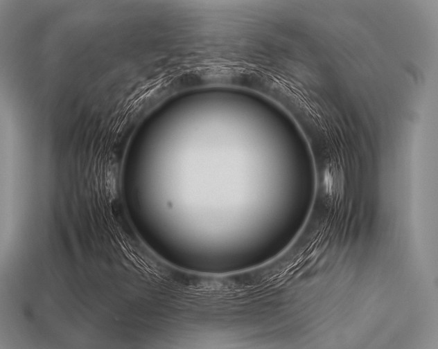 X0000113541348200909181148