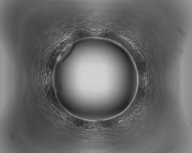 X0000113541349200909181148