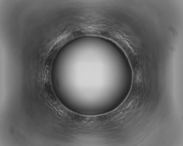 X0000113541350200909181148