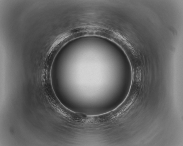 X0000113541352200909181148