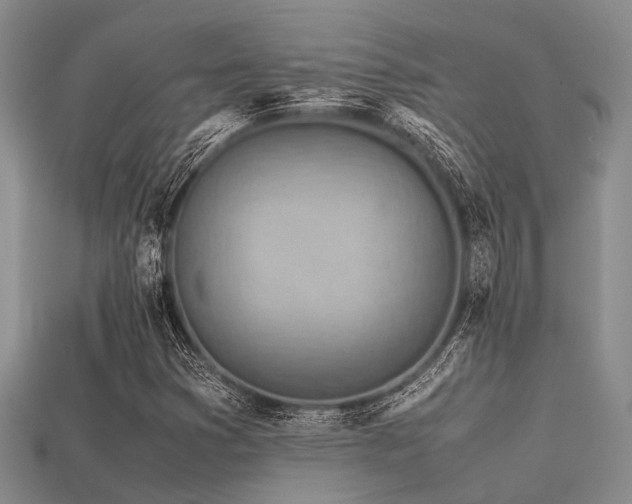 X0000113541353200909181148