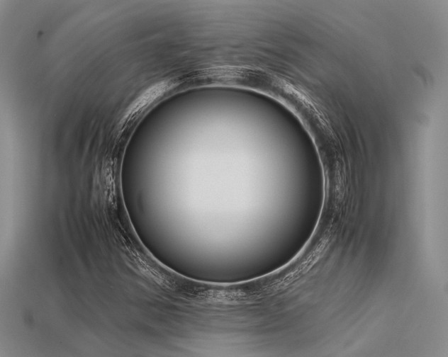 X0000113541354200909181148