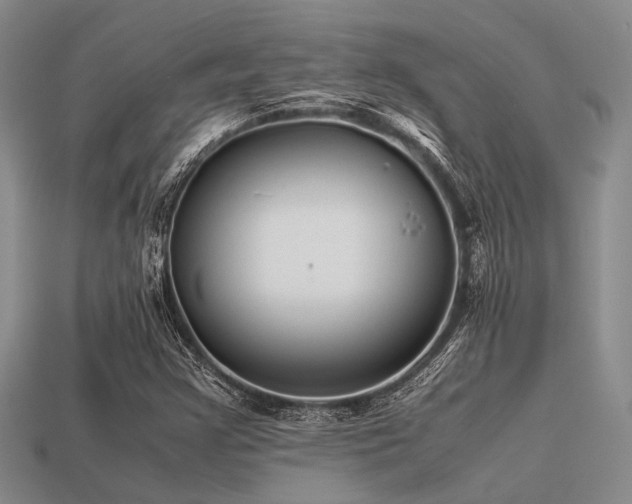 X0000113541355200909181148