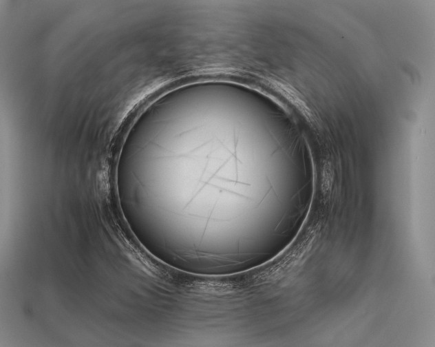 X0000113541356200909181148