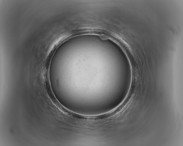 X0000113541357200909181148