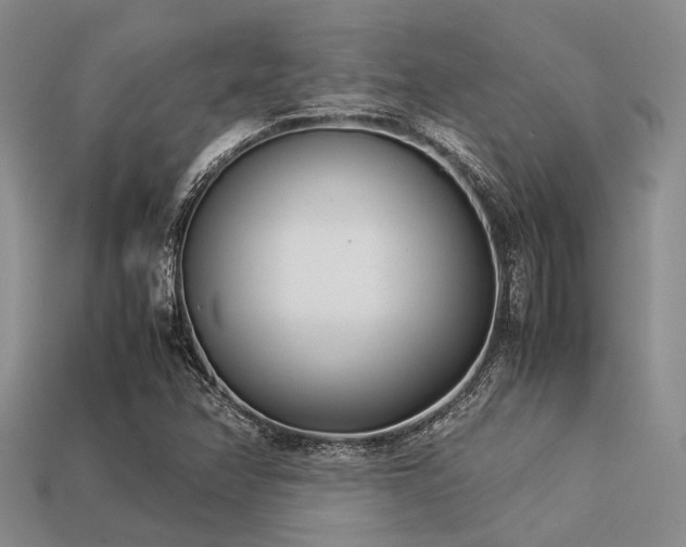 X0000113541358200909181148